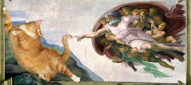 Michelangelo_-_Creation_of_cAt-dam-cat-w
