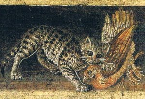 gatto a Pomperi [800x600]